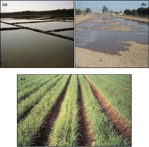 Border Irrigation System