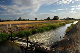 Ditch Irrigation System