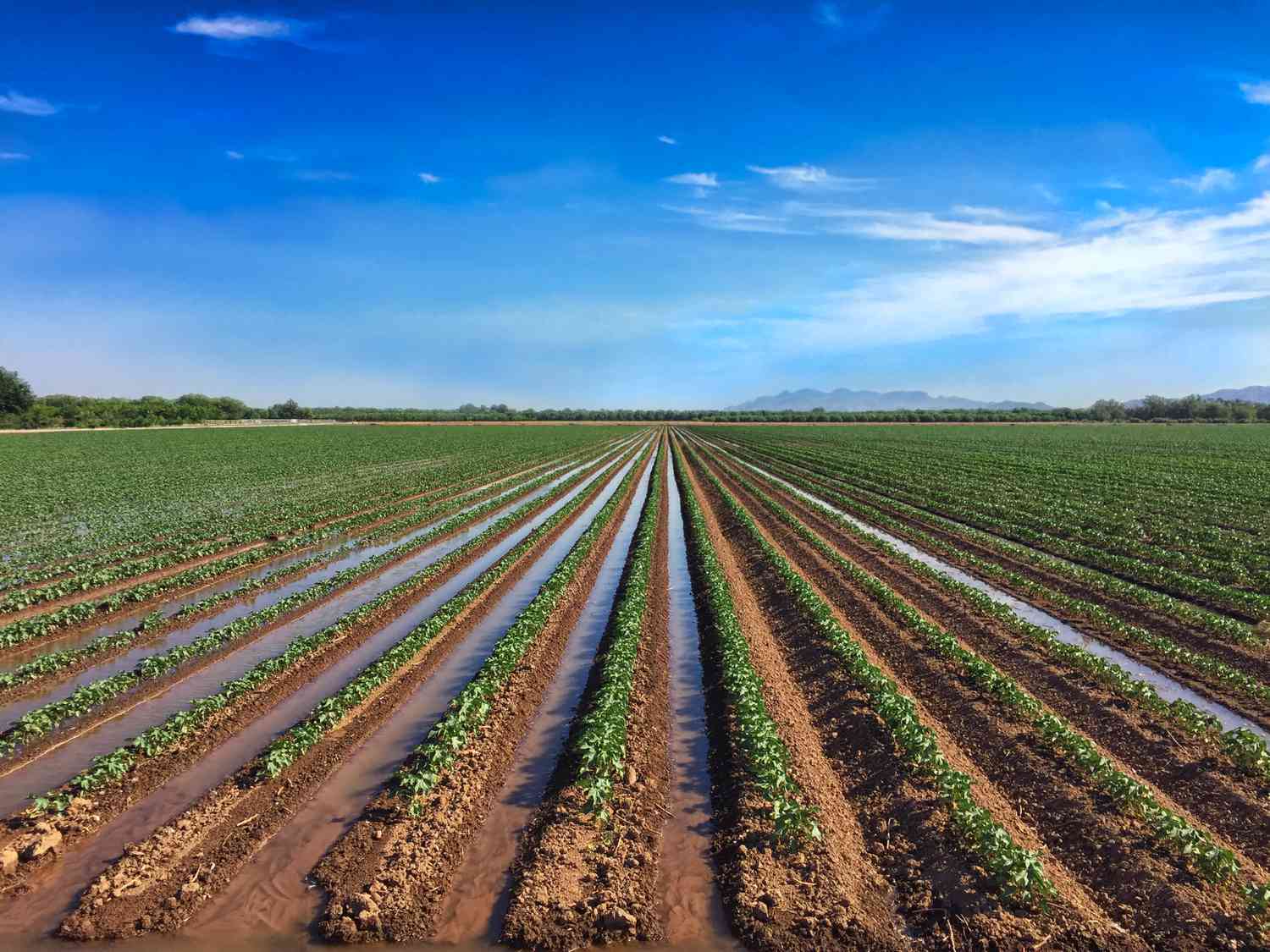 Furrow Irrigation System