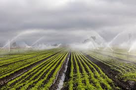 Micro Irrigation (Localized Irrigation) System