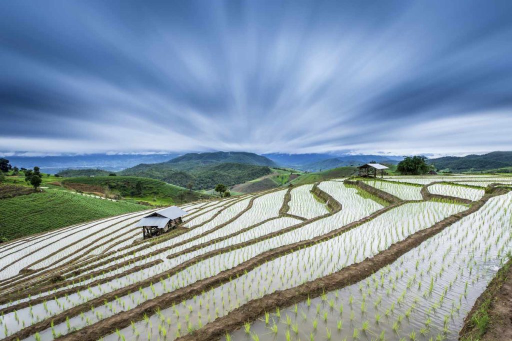 Terraced Irrigation System