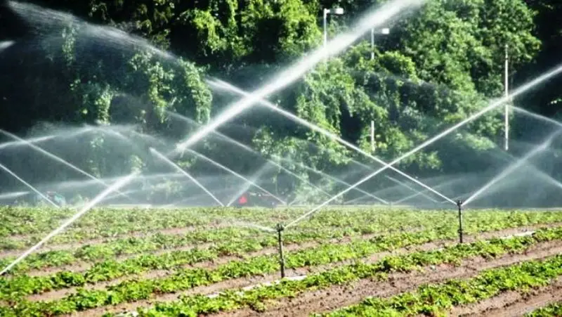 Sprinkler Irrigation System