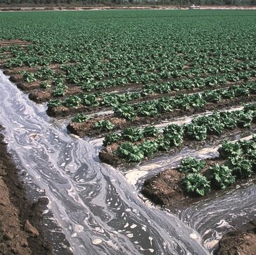 Surface Irrigation System